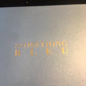 Something Bleu Wedding Shoes